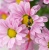 DSC01704.JPG