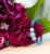 DSC01545.JPG