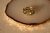 DSC02295.JPG