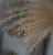 DSC03875.JPG