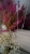 DSC05910.JPG