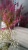 DSC05911.JPG