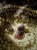 IMG_8148.jpeg